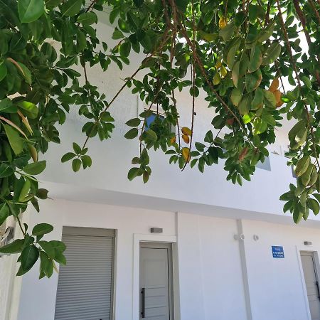 Sarri Appartments Amoudara Lasithiou Dış mekan fotoğraf
